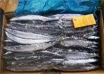 Healthy Fresh #2 90g Frozen Saury Fish For Grilling