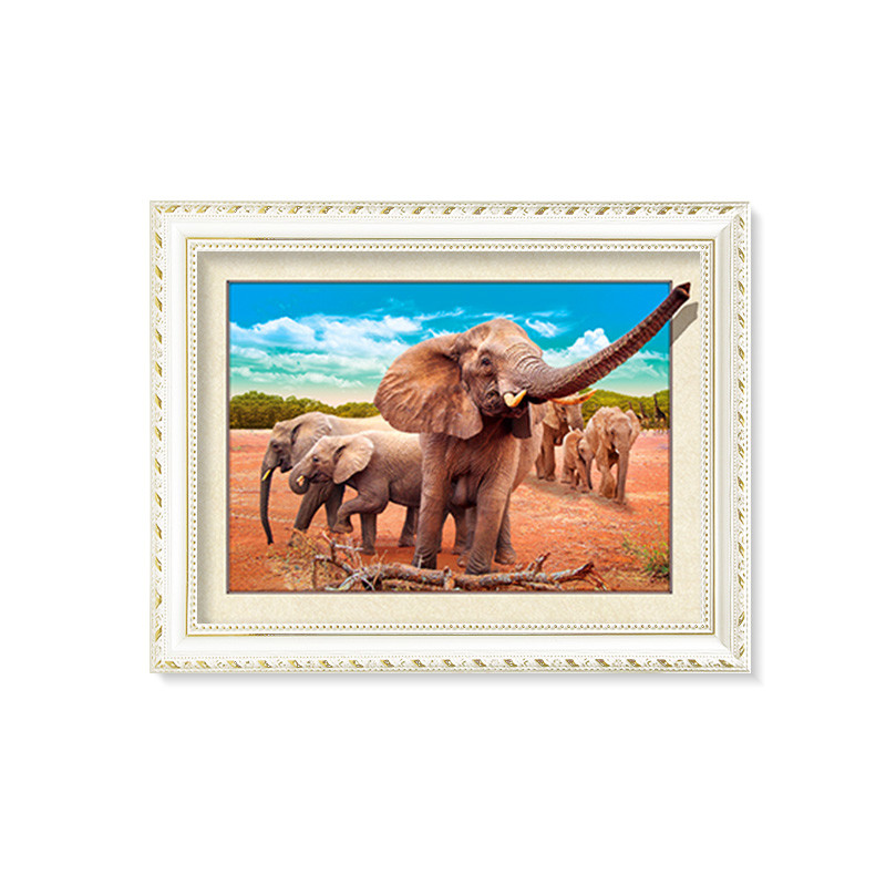 Gold Frame 5d Lenticular Pictures 30*40cm for Home Decoration