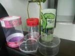 plastic cylinder