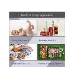 Outdoor Cooling Freezing 45dB 32L Car Mounted Refrigerator