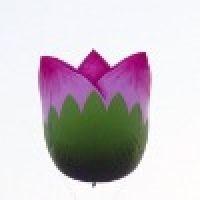 Quality Inviting lotus inflatable helium balloon wholesale