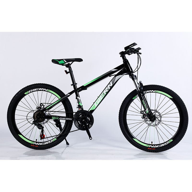 Performance TONGLI MICHANICAL DISC BRAKE Mountain Bike with Steel Rim