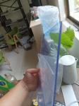 30 Mil 6 Mil Curtain Plastic PVC Sheeting