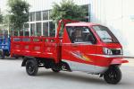 Enclosed Electric CARGO Three Wheel Motorcycle Trike Bike for Customer