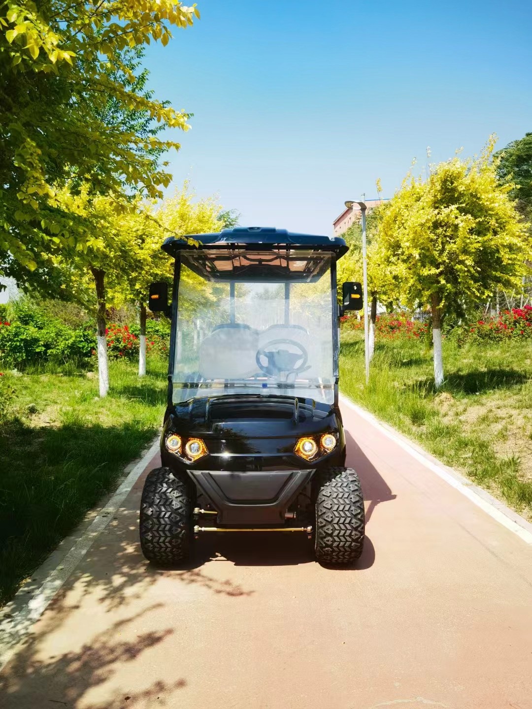 72V 4KW AC System Lead Batteries New Style 6 Seater Golf Cart With CE Certificates