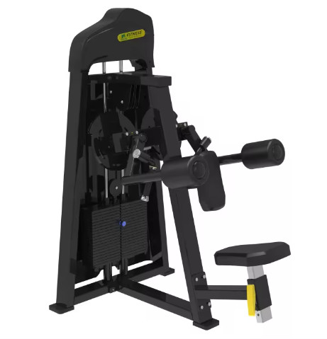 Best saling and high quality Gym Rotary Torso Exercise Machine For Chest Workout Training