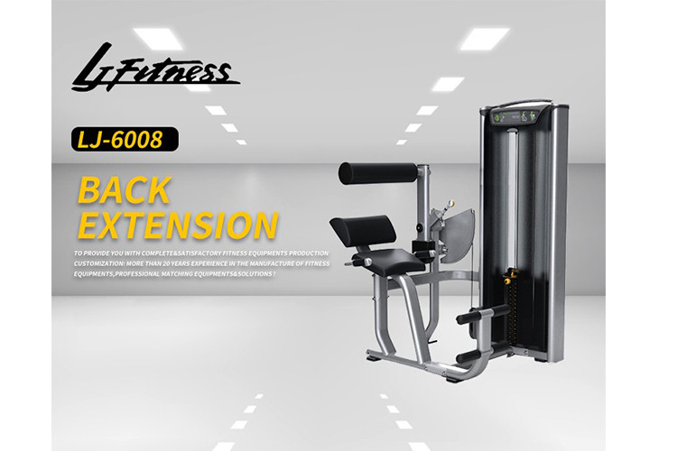 Professional Matrix Exercise Equipment Seated Back Extension Machine