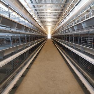 Quality 1800x1200x2140mm Battery Egg Hens Poultry Cage 144 Birds/Set wholesale