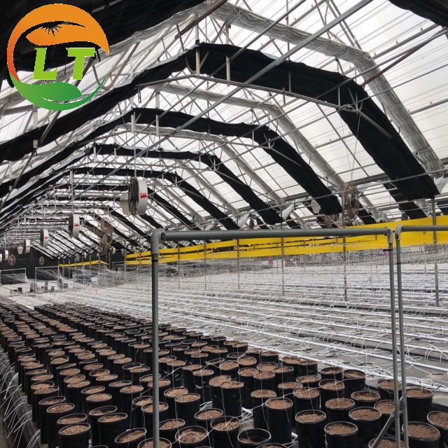 Mushroom Farm Greenhouse with Galvanized Material Frame and Film Cover
