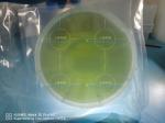 Double Side Polished Single Crystal 4H-N Sic Wafer
