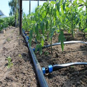 Quality Greenhouse Drip Irrigation System / Overhead Sprinkler System For Greenhouse wholesale
