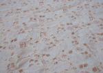 Ivory Cotton Nylon Lace Fabric For Dresses