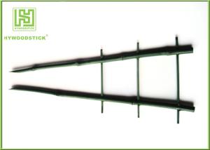 Quality Horticulture Large Bamboo Plant Sticks , Garden Bamboo Decorative Sticks wholesale