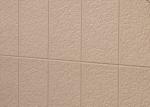 Siding panel