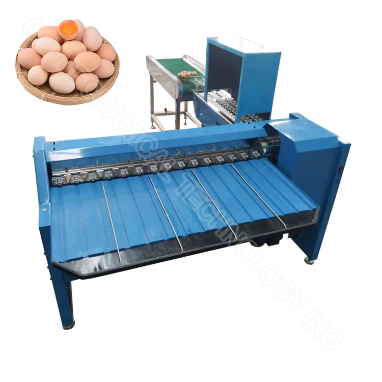 Egg Size Sorting Machine Egg Sorter Machine Automatic Egg Grading Machine