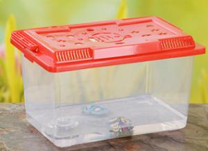 Quality Polyvinyl Chloride Fish Tank Mould , ISO Transparent Turtle Tank wholesale