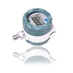 Quality YW-100GB Precision Explosion Proof Pressure Gauge 100mm 80mm With Display wholesale