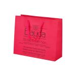 Bright Pink Paper Packaging Bags Matte Lamination With 128gsm 175gsm Thickness