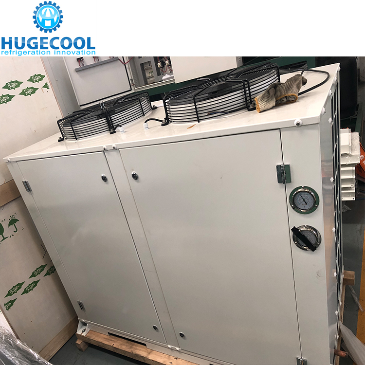 Copeland Cold Room Compressor Condensing Unit with Lowest Price