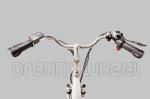 250W 24" Ladies Electric Urban Bike With Shimano Derailleur