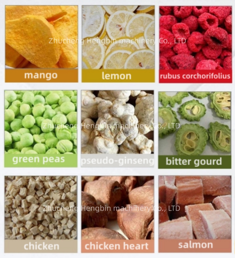 Silicone Oil Heating Commercial Freeze Dried Fruit Machine for Meat Fish Vegetable