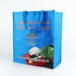 Folding 140Gsm Polypropylene Woven Bags Fire Retardant For Home