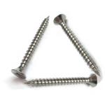 DIN7982 Flat Head Pozi Drive Cross Recess AISI 410 Stainless Steel Self Tapping