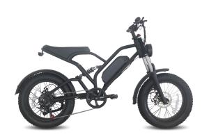 Quality Mechanical Disc Brake High Speed Ebike , 20inch Aluminium Electric Bike wholesale