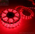 Whole sale red flexible led strip 50m 220V 5050 smd strip 60LED/m led ribbon