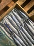 2# BQF Frozen Pacific Saury Fish With High Protein