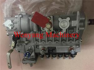 Quality Supply China Cummins engine spare parts injection pump 49994681 wholesale