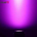 Outdoor 36W DC 24V RGBW LED Landscape Spotlights