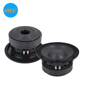 Quality Double Magnet 10 Inch Woofer Speaker wholesale