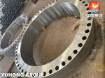 ASTM A105 / ASME SA105 Body Flange / Carbon Steel Forged Flange For Heat