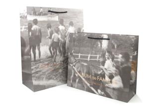 Quality Fancy Personalised Paper Bags / Printed Paper Carrier Bags Offset Printing wholesale