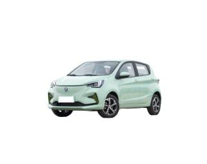 Quality Pure Electric Mini EV Cars Max Speed 101 Km/H Long Range 310KM wholesale