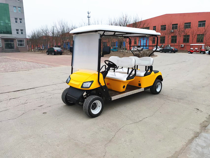 Left Hand Drive Electric Golf Buggy Lithium Battery Operated Golf Carts 2-10 Seats