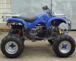 Large Size Automatic ATV 150cc Quad Bike 10" Big Tire Cvt Interior Reverse