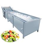 3.37kw 2000kg/H Tomato Strawberry Vegetable And Fruit Washing Machine