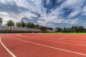 Quality Outdoor Rubber Running Track UV Resistance Playground Sports Flooring wholesale