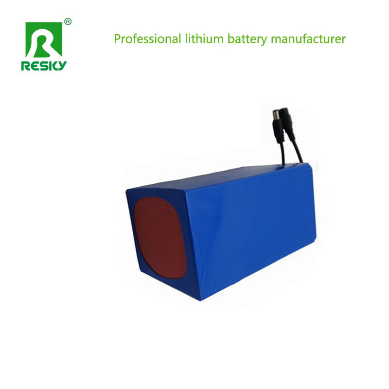48V 20ah 1000W Lithium Battery Pack For Electric Vehicle
