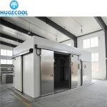 Cold Room Manufacturers for Customized Pineapple Storage and Food Beverage