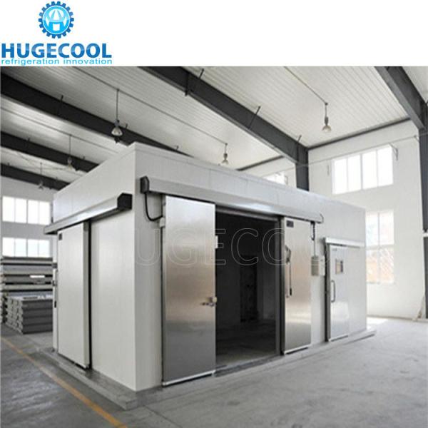Cold Room Walk in Freezer for Sea Food Meat Frozen Food -18c Nature Small