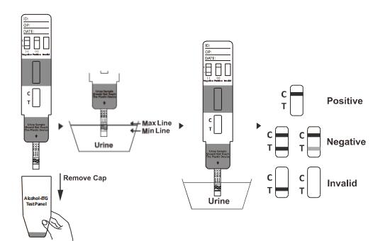 Biochemical Assay ALC Alcohol Test Kits Dipstick Panel Detect Presence In Urine