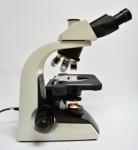 Infinite Kohler Halogen Illumination Inverted Tissue Culture Microscope