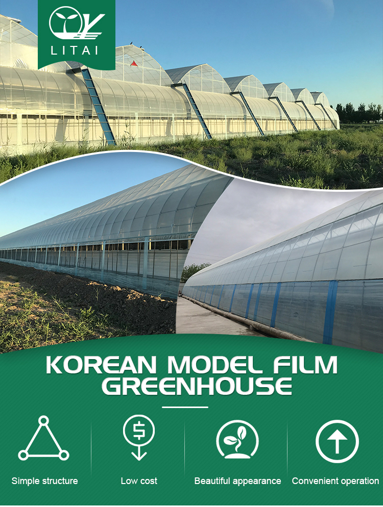 Multi-Span Agricultural Greenhouses Advanced Hydroponic Growing System for Section 4m/8m