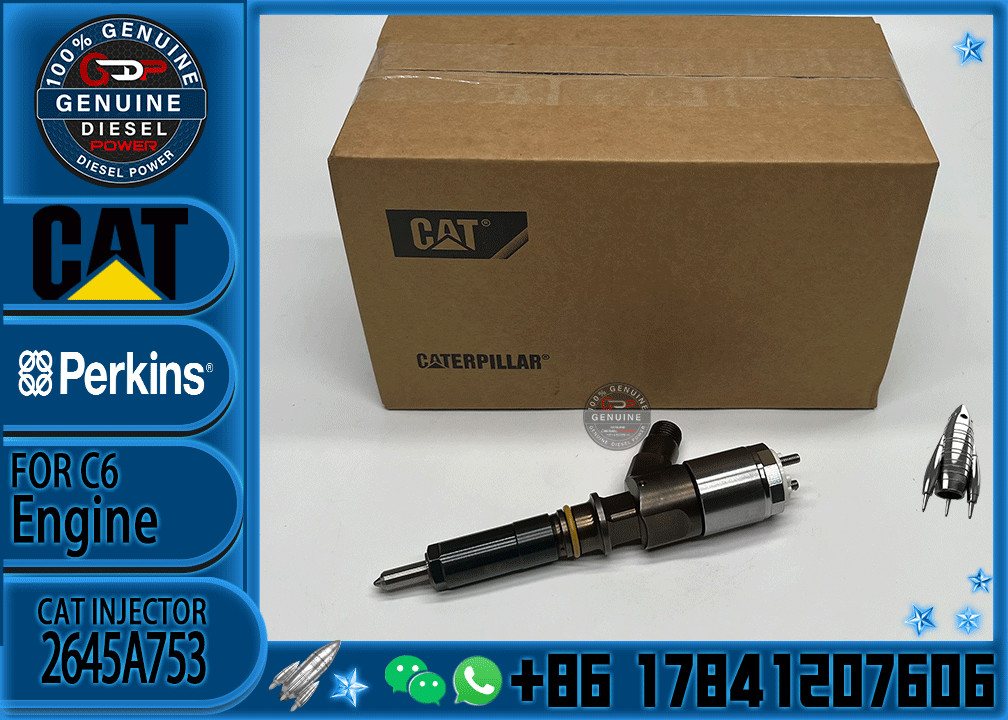 320-0688 Fuel Common Rail Injector 10R-7939 2645A747 2645A749 2645A753 for Perkins diesel engine fuel injector