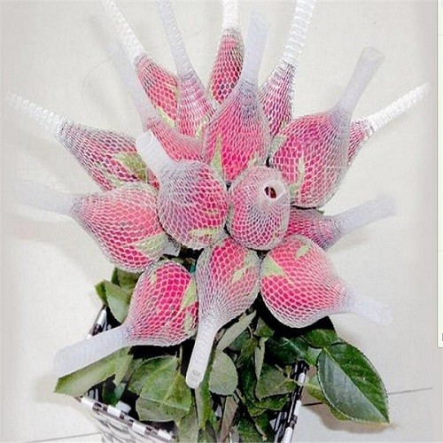 Milky Protective Mesh Sleeving For Rose Protective , Transparent PE Rose Net