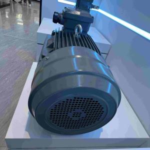 Quality IE3 Medium Voltage Induction Motor Low Speed ROHS Cast Iron wholesale