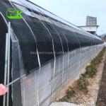 Single-Span Agricultural Greenhouses for Commercial Stable Structure Easily